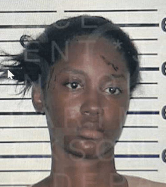 estiny Gibson's mugshot shows her giving no expression and looking away