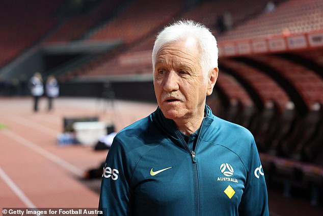 Interim coach Tom Sermanni (pictured) has come under fire for playing Fowler out of position