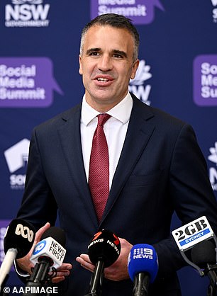 South Australia premier Peter Malinauskas