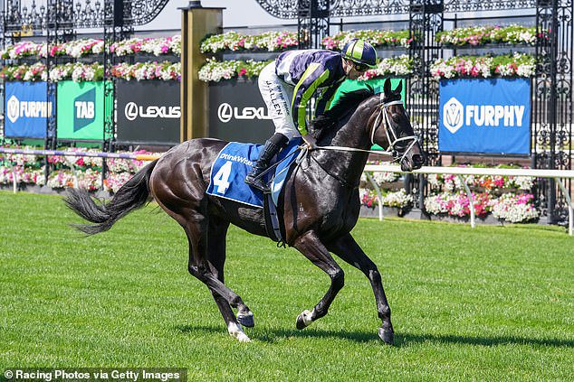 Representatives from Busuttin Stables are fuming after Racing Victoria vets ruled out two of their entrants - including Brayden Star (pictured) - ahead of the Melbourne Cup on Tuesday