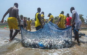 Fishermen pulling back their net after making a catch