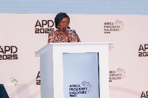 Vice President, Professor Naana Jane Opoku-Agyemang