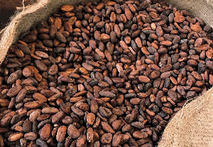 Cocoa is a key export commodity for Ghana