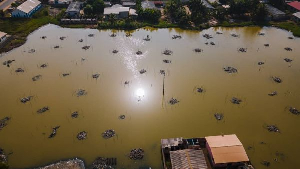 Restoration of mangroves serves as a buffer for coastal erosion