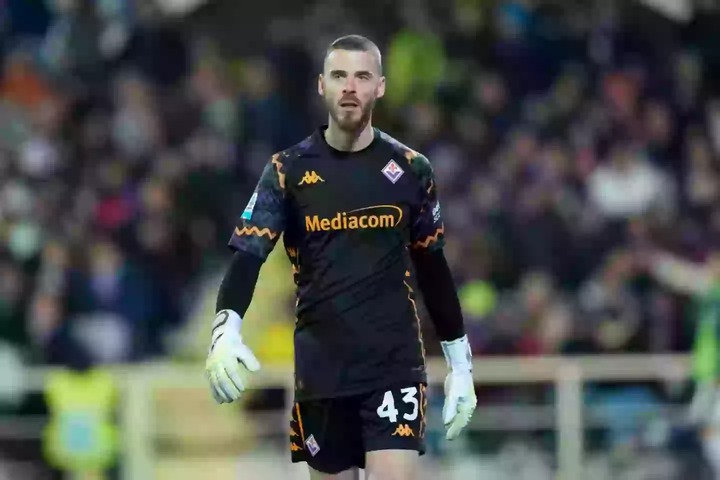 David de Gea has impressed since joining Fiorentina last summer. (Image: Getty)