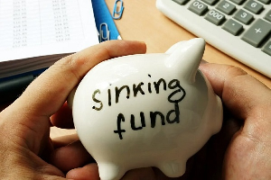 Sinking Fund provides a sense of financial security