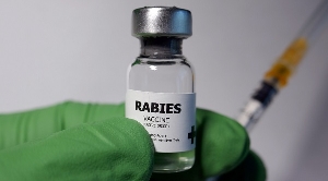 Rabies cases have surged in the Ashanti Region