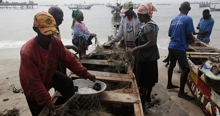 Ghana’s Critical Fight to Save Its Endangered Freshwater Fish: A Battle for Biodiversity and Ecological Balance